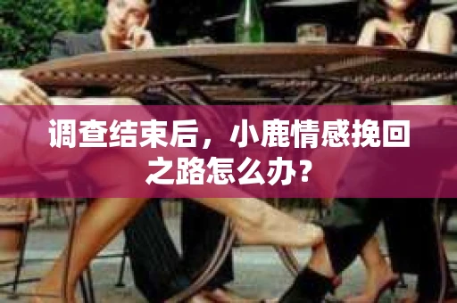 调查结束后，小鹿情感挽回之路怎么办？