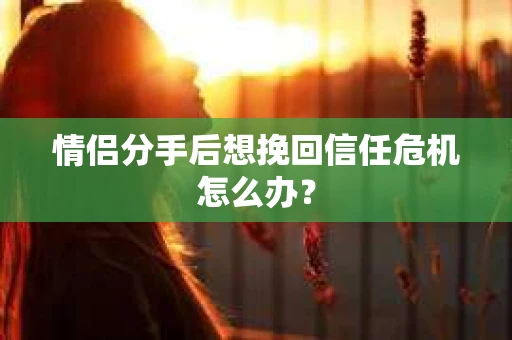 情侣分手后想挽回信任危机怎么办？