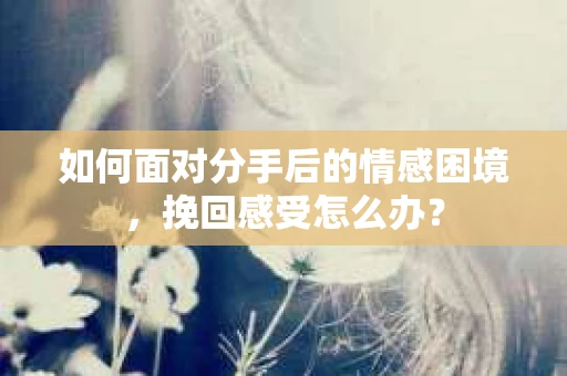 如何面对分手后的情感困境，挽回感受怎么办？