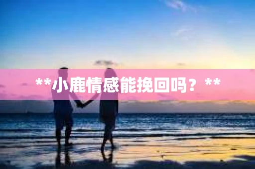 **小鹿情感能挽回吗？**