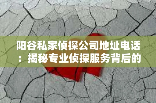 阳谷私家侦探公司地址电话：揭秘专业侦探服务背后的故事