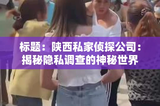 标题：陕西私家侦探公司：揭秘隐私调查的神秘世界