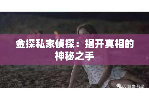 金探私家侦探：揭开真相的神秘之手