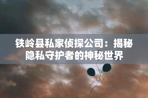 铁岭县私家侦探公司：揭秘隐私守护者的神秘世界
