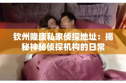 钦州隆康私家侦探地址：揭秘神秘侦探机构的日常