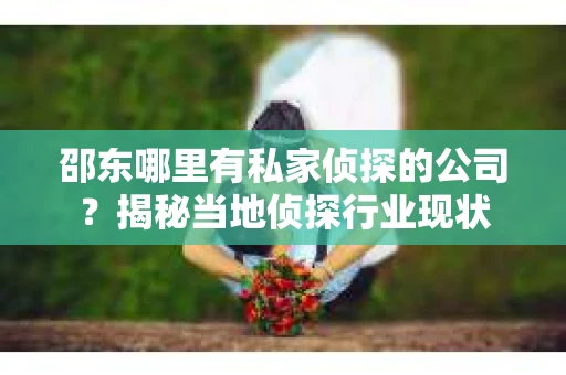 邵东哪里有私家侦探的公司？揭秘当地侦探行业现状