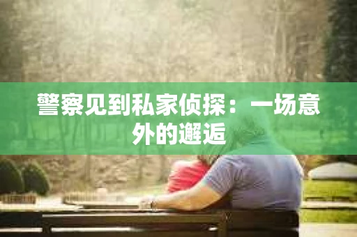警察见到私家侦探：一场意外的邂逅