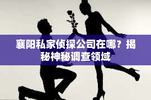 襄阳私家侦探公司在哪？揭秘神秘调查领域