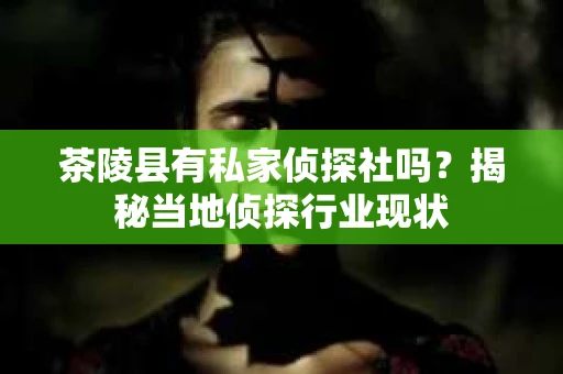 茶陵县有私家侦探社吗？揭秘当地侦探行业现状