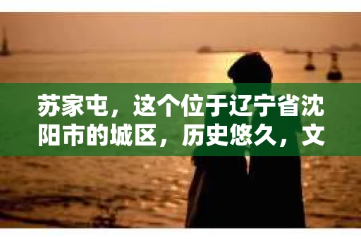 苏家屯，这个位于辽宁省沈阳市的城区，历史悠久，文化底蕴深厚。近年来，随着社会的发展，人们对于私家侦探的需求也逐渐增加。那么，苏家屯有私家侦探吗？今天，我们就来聊聊这个话题。