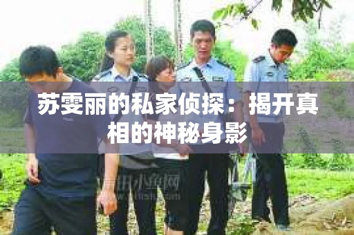 苏雯丽的私家侦探：揭开真相的神秘身影