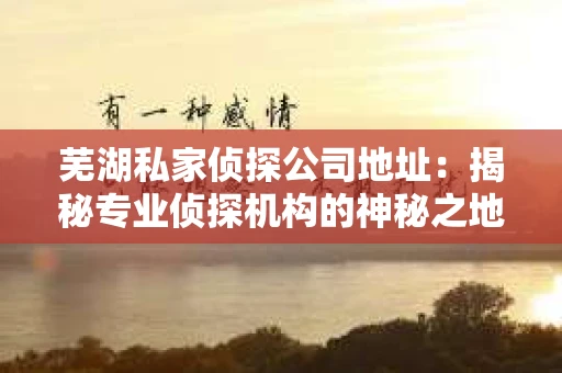 芜湖私家侦探公司地址：揭秘专业侦探机构的神秘之地