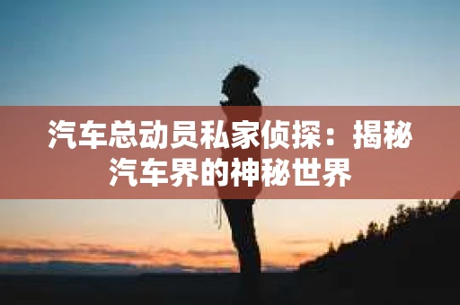 汽车总动员私家侦探：揭秘汽车界的神秘世界