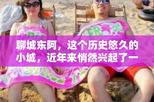 聊城东阿，这个历史悠久的小城，近年来悄然兴起了一股新的服务潮流——私家侦探。今天，我们就来聊聊这个话题，看看在聊城东阿，私家侦探是如何成为人们生活中的一部分的。