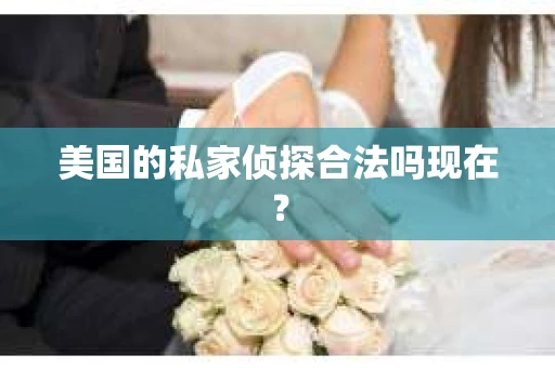 美国的私家侦探合法吗现在？