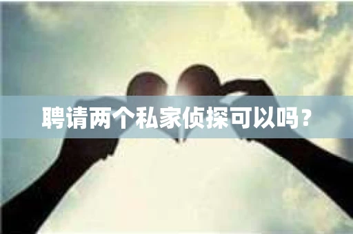 聘请两个私家侦探可以吗？