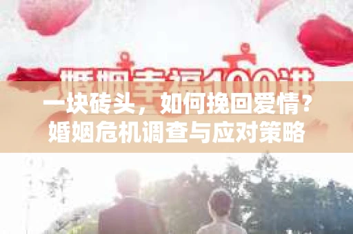 一块砖头，如何挽回爱情？婚姻危机调查与应对策略