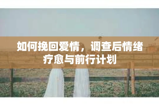 如何挽回爱情，调查后情绪疗愈与前行计划