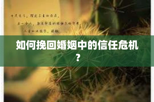 如何挽回婚姻中的信任危机？