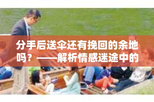 分手后送伞还有挽回的余地吗？——解析情感迷途中的决策