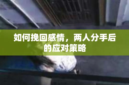 如何挽回感情，两人分手后的应对策略